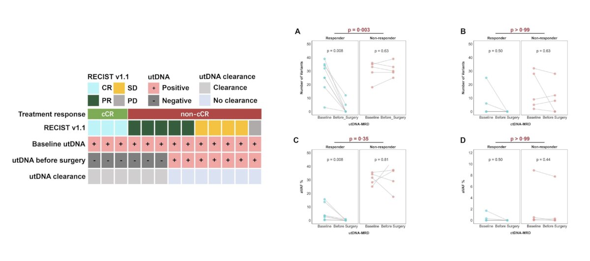 Seventeen patients (85%) completed all 4 planned cycles of induction therapy. Objective response rates correlated strongly with HER2 IHC expression: IHC 3+ (objective response rate 100%), 2+ (objective response rate 66.7%), 1+ (objective response rate 57.1%), and 0 (objective response rate 50.0%). Grade ≥3 systemic toxicities occurred in 10% of patients. Urinary tract DNA (utDNA) levels decreased significantly in responders (complete response/partial response) compared to non-responders (p < 0.05):