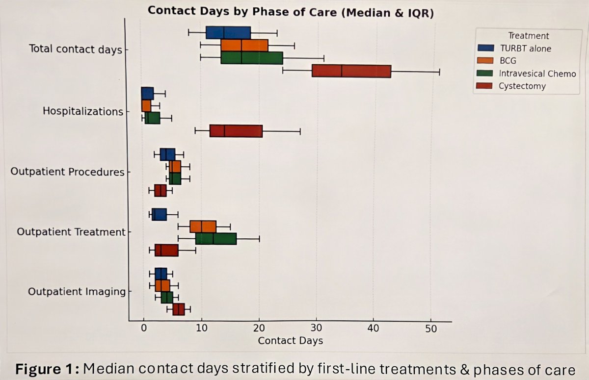 The median healthcare contact days were 16 (IQR 10, 26). By treatment, the median healthcare contact days were 15 (IQR 9, 24) for TURBT alone, 17 (IQR 10, 26) for BCG, 19 (IQR 10, 33) for intravesical chemotherapy, and 34 (IQR 24, 51) for radical cystectomy:&nbsp;