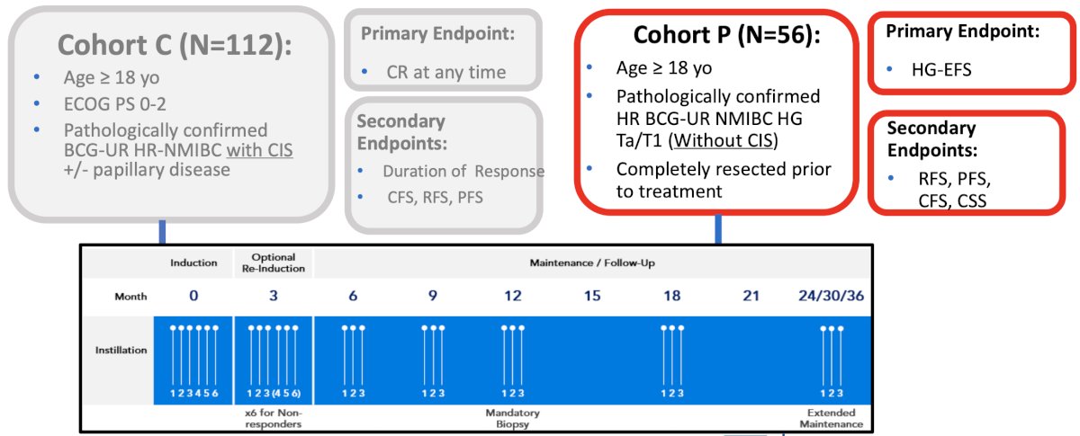 Eligibility criteria include age&nbsp;≥18 years, ECOG performance status of 0-2, and histologically confirmed BCG-unresponsive HG Ta/T1 papillary disease without CIS within 90 days of study enrollment as verified per central review. Patients had no visible evidence of residual bladder cancer before treatment. Intravesical cretostimogene is instilled for six weekly doses during the induction phase, followed by three weekly maintenance cycles quarterly through month 12, then every six months through month 36. Re-induction is permitted at 3 months for patients with persistent HG Ta and/or CIS:&nbsp;