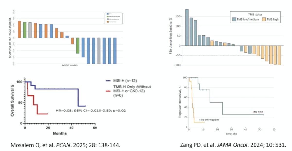 The results confirming improved outcomes with MSI-H/dMMR versus patients with TMB-H/MSS who received immunotherapy have been noted in several other studies:&nbsp;