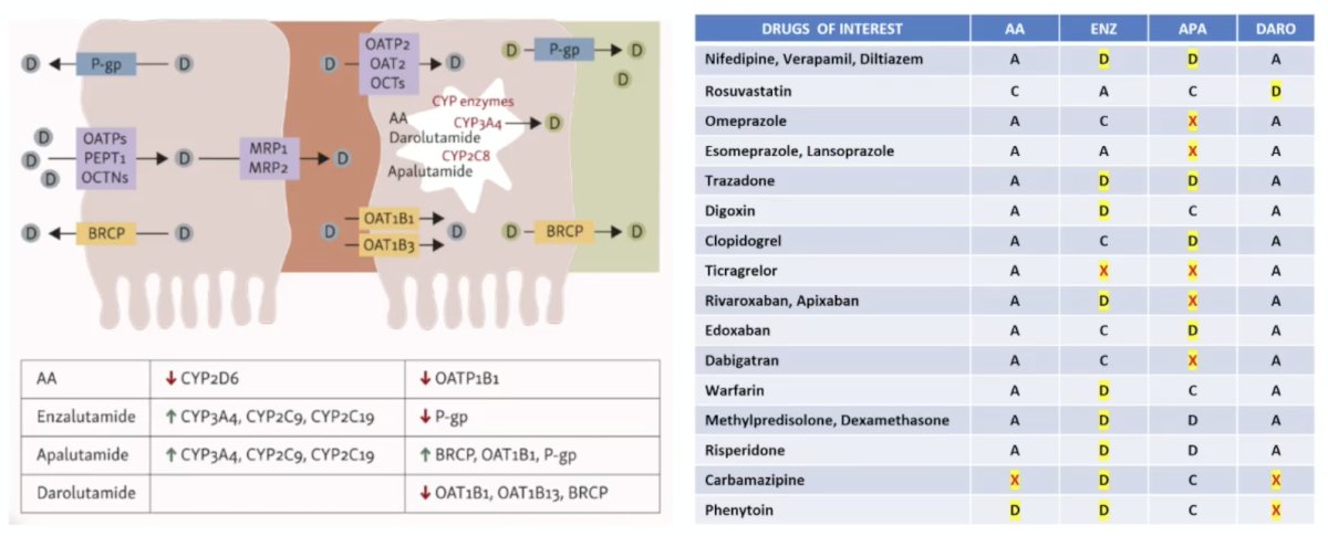 There are several adverse events of interest when considering androgen receptor pathway inhibitors in mHSPC. Abiraterone requires glucocorticoids, which can exacerbate osteoporosis, diabetes mellitus, and immunosuppression, as well as monitoring for mineralocorticoid excess. Enzalutamide and apalutamide can increase the risk of falls, fractures, and CNS-related toxicity (fatigue, cognitive impairment, seizure risk). Darolutamide has less CNS exposure (10-fold) and fewer drug-drug interactions relative to enzalutamide or apalutamide. The following figure and table summarize the drug-drug interactions for enzalutamide, apalutamide, and darolutamide: