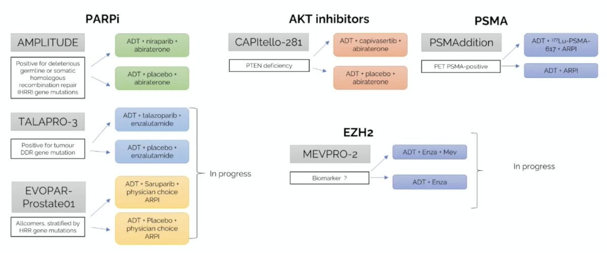The following figure highlights patient selection for mHSPC trials: