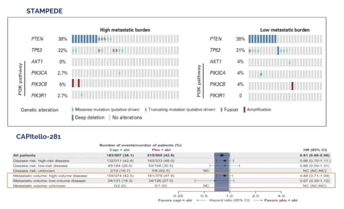 Both STAMPEDE and CAPItello-281 trials have shown that the prevalence of alterations in the PTEN PIK3CA/AKT pathway is similar in low and high volume mHSPC:&nbsp;