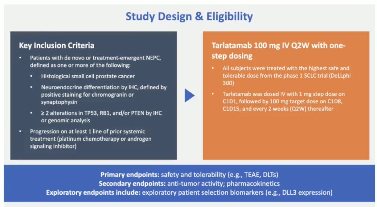 Tarlatamab is an anti-DLL3 HLE BiTE that was previously established in the treatment of small-cell lung cancer. Tarlatamab has been assessed in the DELLpro-300 phase 1b study in neuroendocrine prostate cancer/molecularly-defined advanced variant prostate cancer led by Dr. Aggarwal and colleagues:1