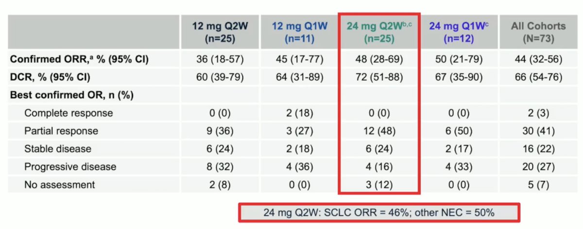 At ESMO 2025, Dr. Beltran presented phase 1/2 data from a trial of MK6070 (gocatamig), a DLL3 T-cell engager. At a dose of 24 mg every 2 weeks (n = 25), the confirmed objective response rate of 48%, the disease control rate was 72%, and 48% of responses were partial responses: