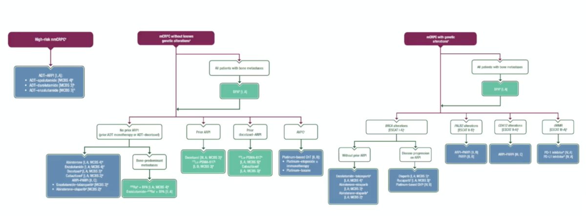For CRPC disease, systemic therapy remains the cornerstone of treatment: