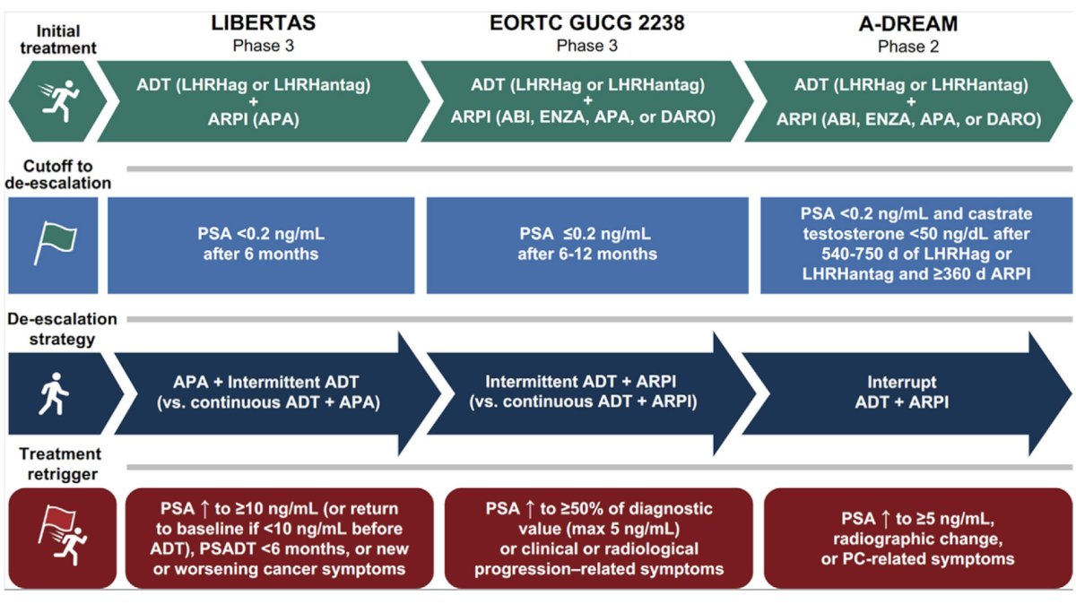 The following figure shows the ADT and androgen receptor pathway inhibitor dose de-escalation approaches in ongoing mHSPC studies:4