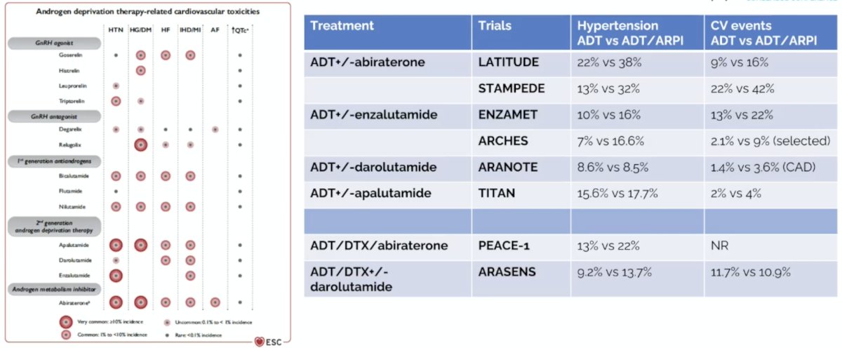 Cardiovascular toxicity is a concern for advanced prostate cancer systemic therapy, including for patients receiving ADT and ADT + androgen receptor pathway inhibitors in mHSPC: