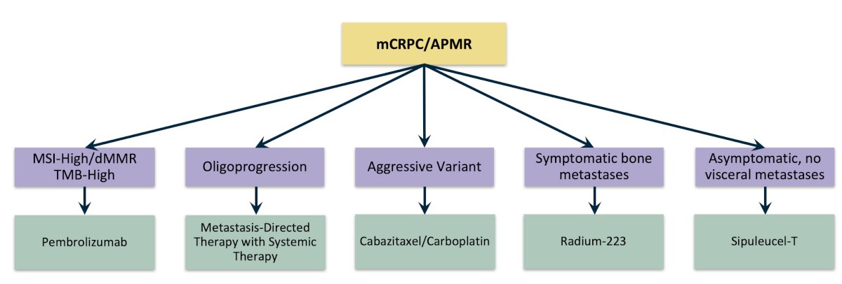 Aside from the aforementioned options, Dr. Lacuna highlighted other options for patients in the first line or beyond lines of therapy for mCRPC/APMR, which may be somewhat special situations:&nbsp;