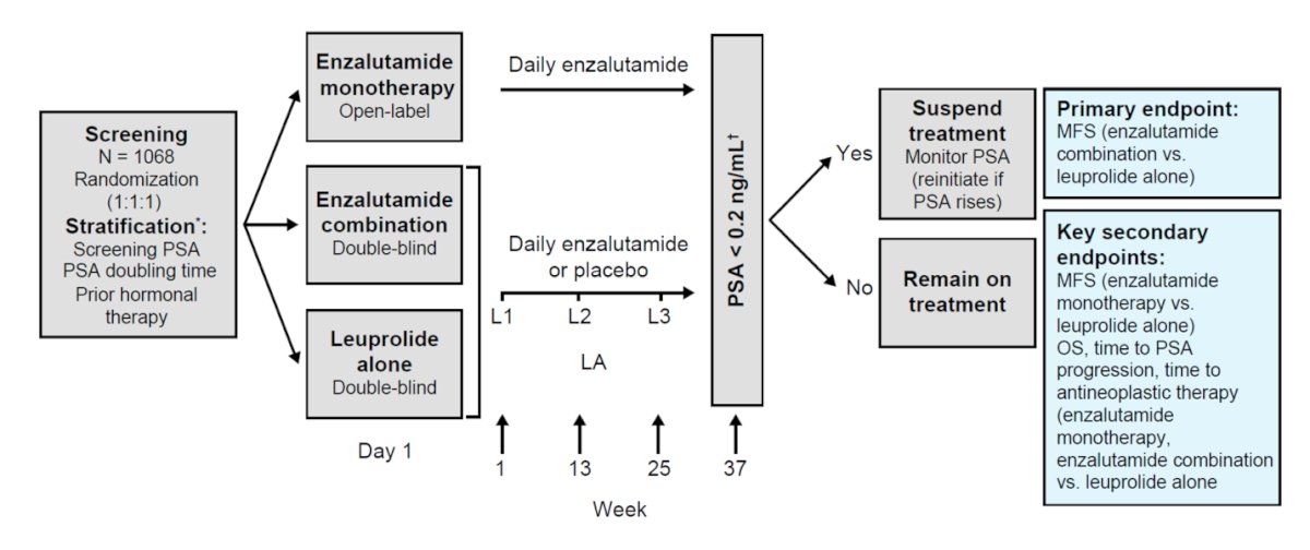 EMBARK is a randomized phase III trial of patients with biochemically recurrent prostate cancer and high-risk disease, defined as a prostate-specific antigen doubling time (PSADT) ≤9 months and a PSA level of ≥2 ng/mL above nadir following external beam radiation therapy or ≥1 ng/mL after radical prostatectomy, with or without postoperative radiation therapy.1 Eligible patients had no evidence of metastasis on conventional imaging and baseline eugonadal testosterone levels ≥150 ng/dL. Prior hormone therapy completed at least 9 months before enrollment was permitted.