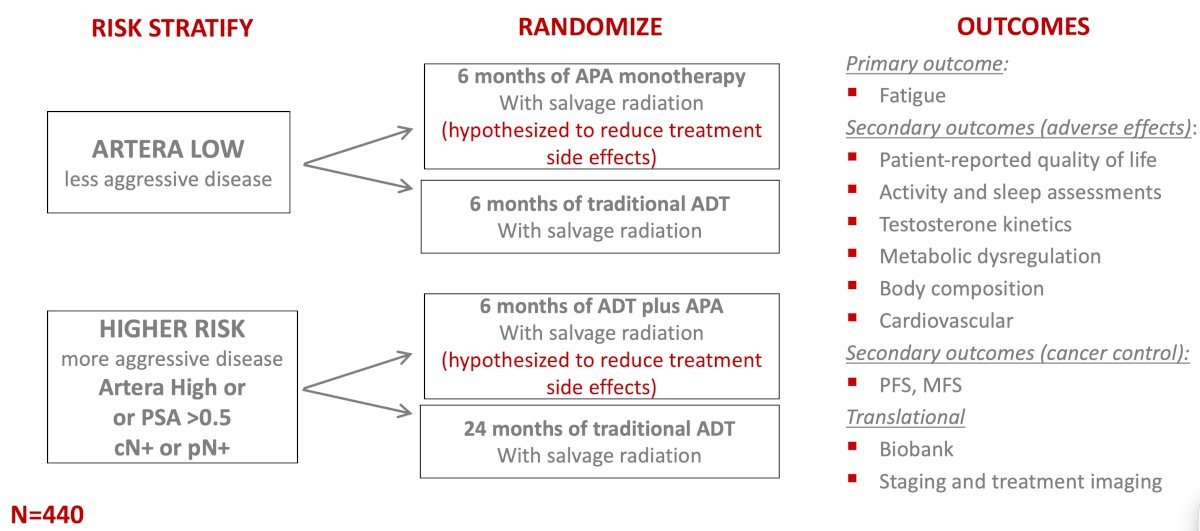 The ongoing PROSTATE-IQ trial was also highlighted as a study comparing the “winning arms” from RADICALS-HD and FORMULA-509 using ArteraAI risk stratification: