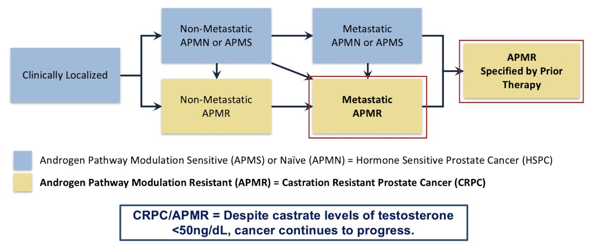 Dr. Finkelstein emphasized that PCWG4 changes the framework of the disease from an endocrinologic basis to a mechanistic one, which includes no use of the term castration.1 A key milestone is the use of prior androgen receptor-directed therapy (ADT alone or androgen receptor pathway inhibitor alone or doublet or triplet with another drug class, or novel androgen receptor-targeted agent, etc):&nbsp;