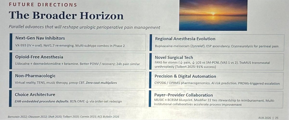 Figure 4: Future Directions of Urologic Perioperative Pain Management.