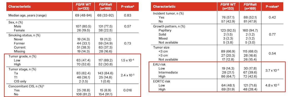 Overall, 56.0% of patients with non-muscle invasive bladder cancer had FGFR alterations, with the following baseline characteristics: