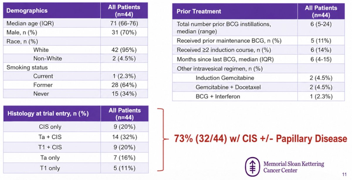 A total of 44 patients were enrolled in the phase II trial. Most patients received one prior BCG induction course, but 14% (6/44) of patients received ≥2 prior courses, and 11% (5/44) had prior maintenance. Four (9%) had prior induction gemcitabine (± docetaxel). Upon trial entry, 73% (32/44) had CIS ± Ta/T1 while 27% (12/44) had papillary-only disease: