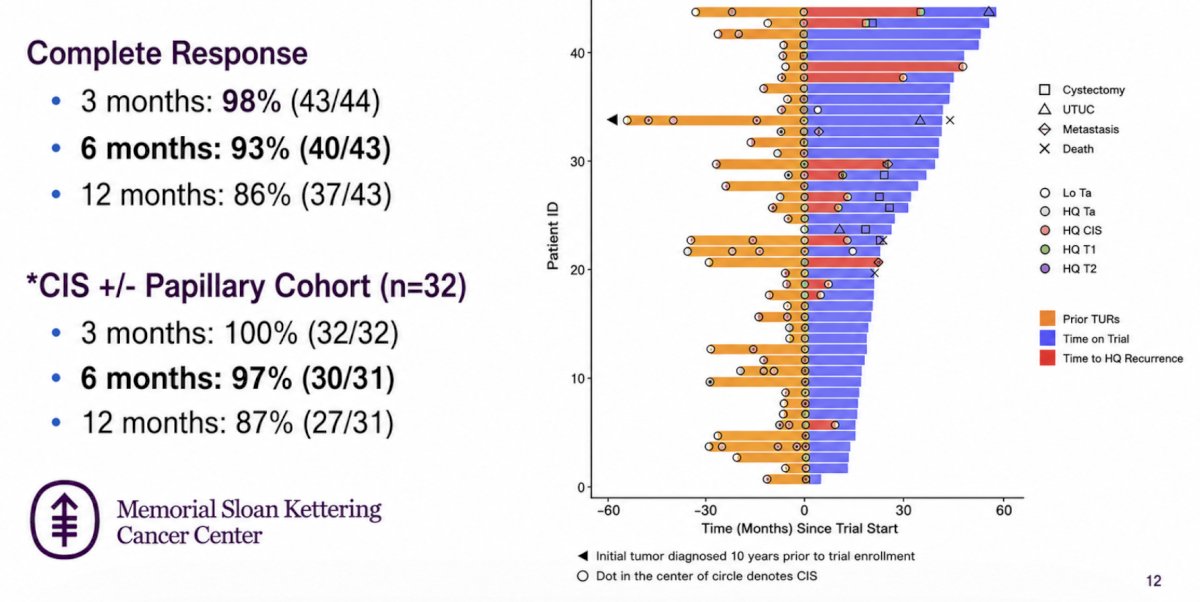 The 6-month complete response was 93% (40/43) for the overall cohort and 97% (30/31) in those with CIS:&nbsp;