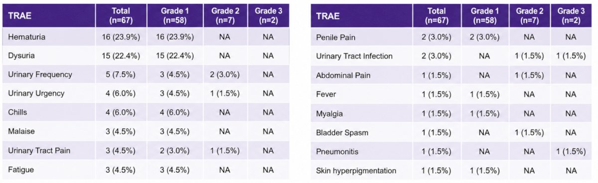 Grade 1-2 treatment-related adverse events were common and similar to what is expected with monotherapy. Two (5%) grade 3 treatment-related adverse events occurred (pneumonitis, which resolved, and a urinary tract infection requiring 1 dose of IV antibiotics). No patient experienced grade 4-5 toxicity:&nbsp;
