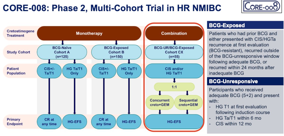 Specifically, Cohort CX is investigating cretostimogene combined with intravesical gemcitabine in patients with BCG-exposed or BCG-unresponsive disease. This combination is hypothesized to provide synergistic anti-tumor activity through complementary immune-modulating mechanisms while maintaining an intravesical-only treatment approach aimed at minimizing systemic toxicity. The trial design is shown below.