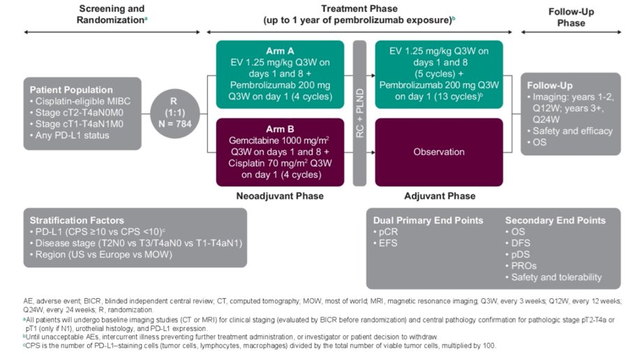 Dr. Lam then reviewed the phase 3 KEYNOTE-B15/EV-304 trial (NCT04700124), which enrolled cisplatin-eligible patients with clinical stage T2–T4aN0M0 or T1–T4aN1M0 disease. Participants were randomized to four cycles of neoadjuvant EV+P followed by radical cystectomy and adjuvant EV+P, or to four cycles of neoadjuvant gemcitabine/cisplatin followed by cystectomy and observation or adjuvant nivolumab according to standard practice.