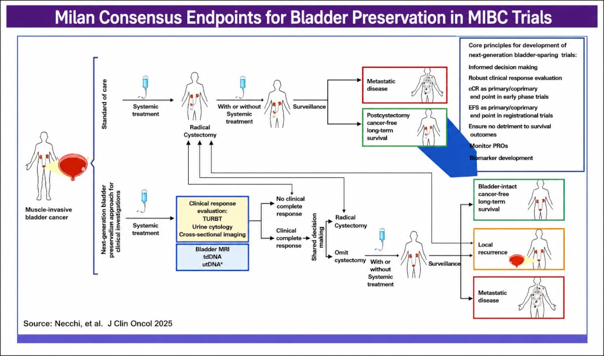 To address these issues, Dr. Lam reviewed the 2025 Milan Consensus statement published in the Journal of Clinical Oncology by Andrea Necchi and colleagues.4 This multidisciplinary effort established core design principles for next-generation bladder-preservation trials. The recommended definition of cCR includes: (1) no evidence of high-grade malignancy on repeat transurethral resection and directed biopsies of all visually abnormal areas and the original tumor site; (2) negative urine cytology; and (3) no definitive local or metastatic disease on cross-sectional imaging. Additional emerging biomarkers, including bladder MRI, circulating tumor DNA, and urine tumor DNA, may further refine response assessment.