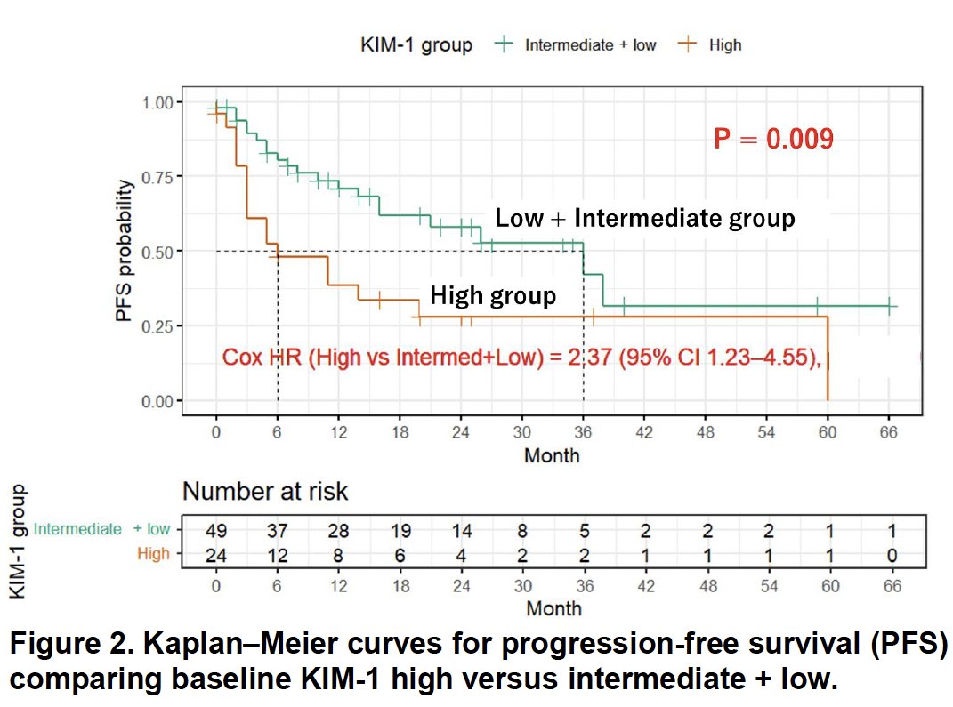 The progression-free survival analysis further supported the prognostic value of KIM-1. In the Kaplan–Meier curves, patients with high baseline KIM-1 had significantly shorter PFS compared with those in the low/intermediate group (log-rank p=0.009). In multivariable Cox regression adjusting for age ≥70 years, sex, IMDC poor risk, and treatment type (IO–IO versus IO–TKI), high KIM-1 remained an independent predictor of progression, with a hazard ratio of 2.15 (95% CI 1.03–4.51; p=0.042). Thus, patients with elevated baseline KIM-1 had more than twice the risk of disease progression.