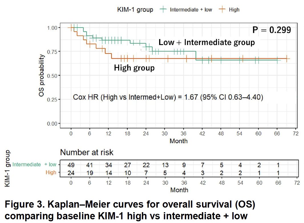 In contrast, baseline KIM-1 was not significantly associated with overall survival. The Kaplan–Meier curves for OS were largely overlapping, with a log-rank p value of 0.299.