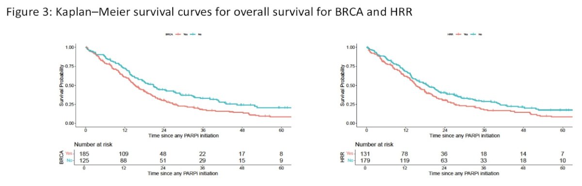 The investigators first evaluated OS according to BRCA status. Across participating institutions, patients harboring BRCA alterations experienced significantly improved survival following PARPi therapy compared to those without BRCA alterations. Meta-analysis demonstrated a pooled hazard ratio (HR) for death of 0.51 (95% CI: 0.33–0.78), with low between-study heterogeneity (I²=15.6%). Kaplan-Meier analyses similarly demonstrated prolonged survival among patients with BRCA alterations. 2