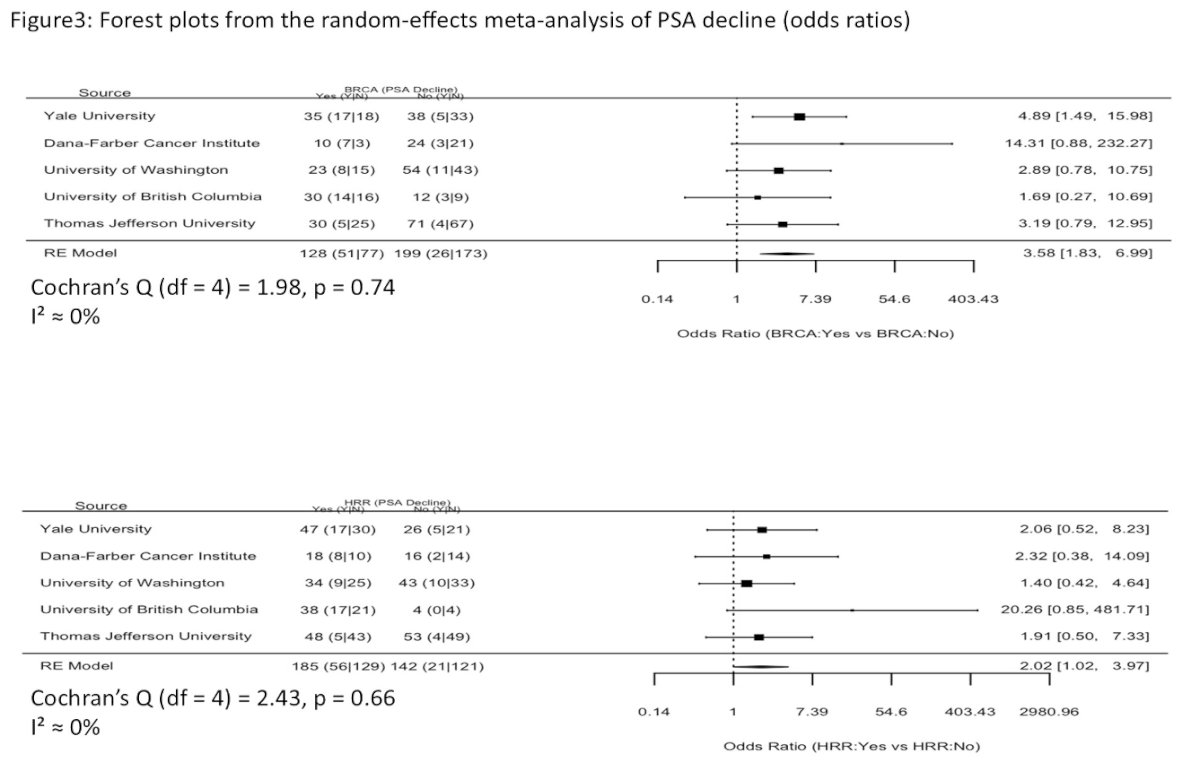 The investigators next assessed PSA response following PARPi treatment. Patients harboring BRCA alterations were significantly more likely to achieve a confirmed PSA decline of at least 50%, with a pooled odds ratio (OR) of 3.58 (95% CI: 1.83–6.99). Similarly, HRR alterations were associated with improved PSA responses, with a pooled OR of 2.02 (95% CI: 1.02–3.97). In both analyses, there was minimal heterogeneity across institutions, suggesting reproducibility of these findings in multiple real-world practice settings.