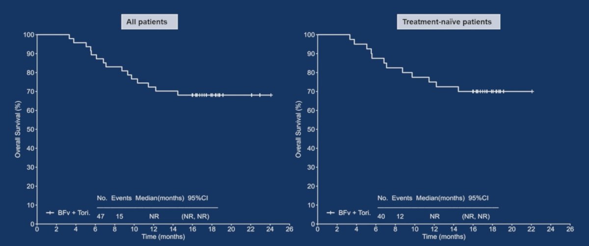 The median overall survival also was not reached among all patients and in the treatment naïve patients:&nbsp;