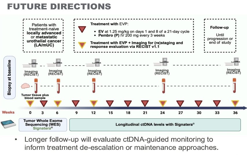 These findings support the potential role of ctDNA-guided monitoring strategies during frontline EV + pembro therapy and may inform future approaches involving treatment de-escalation, maintenance strategies, and earlier identification of therapeutic resistance.