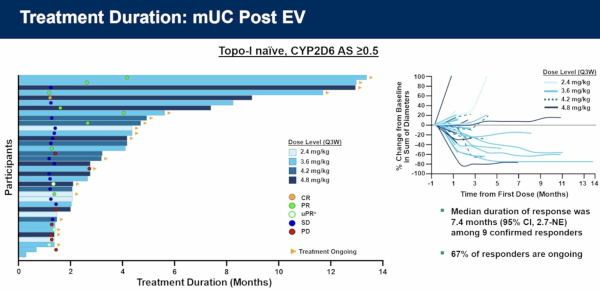 Durability analyses further supported clinical activity. Among EV-pretreated, topoisomerase-I ADC–naïve patients with CYP2D6 activity scores ≥0.5, the median duration of response was 7.4 months (95% CI: 2.7–not estimable) among nine confirmed responders. Notably, 67% of responding patients remained on treatment at the time of analysis, indicating ongoing disease control in many responders.
