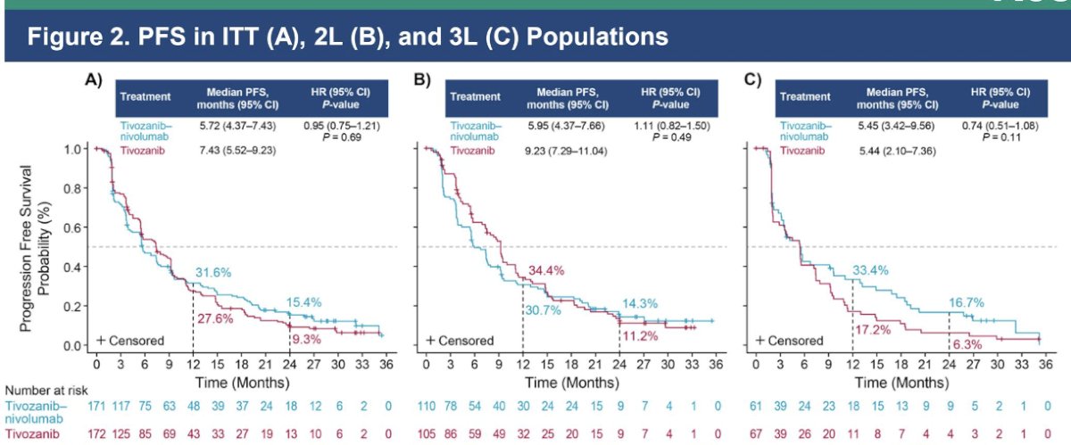 The Kaplan-Meier curves demonstrated the most favorable disease control in the second-line setting, where median PFS exceeded 9 months.