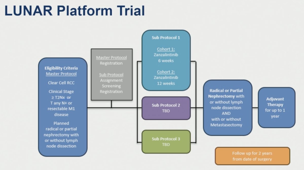 The LUNAR platform trial is testing multiple neoadjuvant strategies in patients with clinical stage T2N× disease, node-positive disease, or resectable metastatic RCC, with adaptive subprotocols and integrated perioperative treatment approaches.