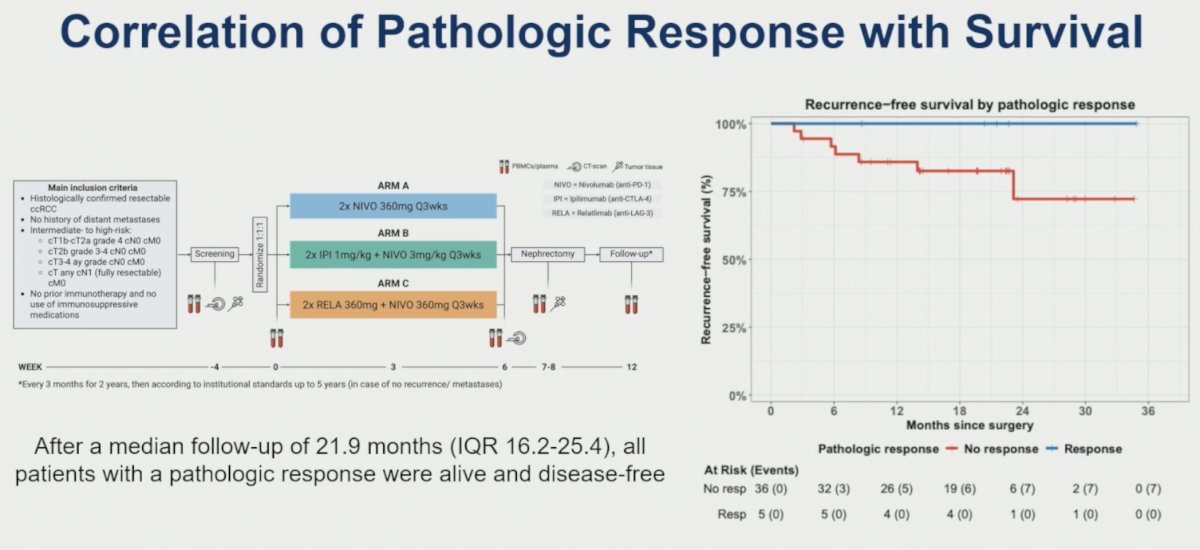 Preliminary evidence supporting pathologic response as a surrogate endpoint comes from the NESCIO study. After a median follow-up of 21.9 months, all patients achieving a pathologic response remained alive and disease-free, whereas recurrences were observed among patients without a pathologic response.
