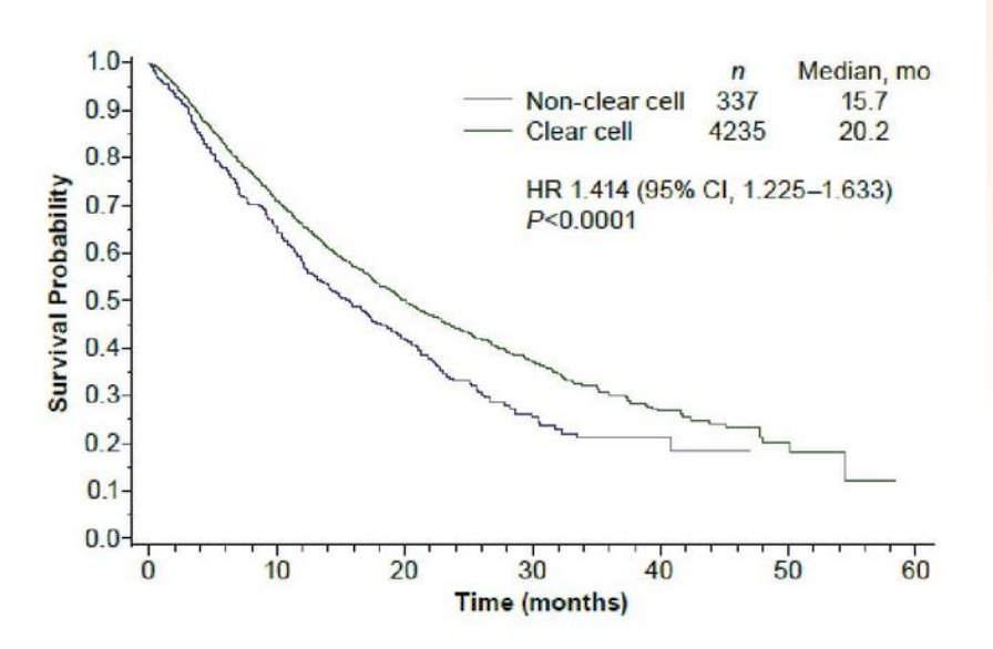Systemic Therapy for Non-Clear Cell-0.jpg