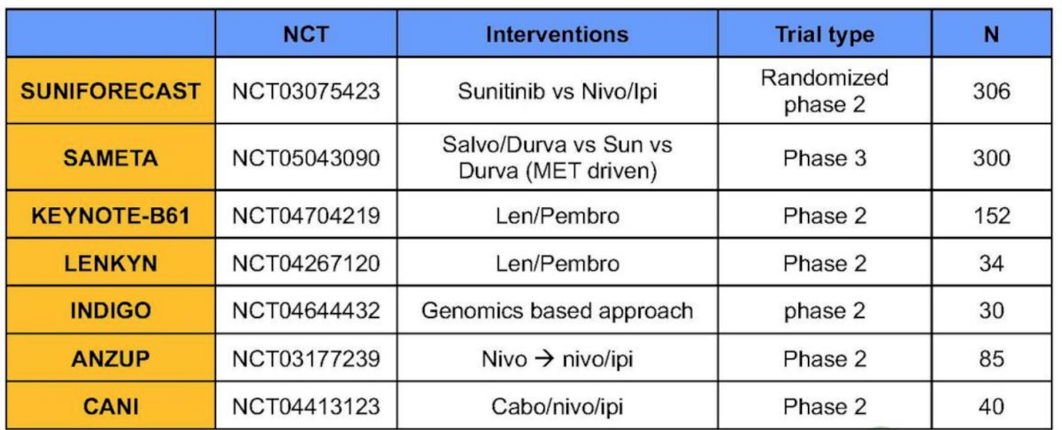 Systemic Therapy for Non-Clear Cell-10.jpg