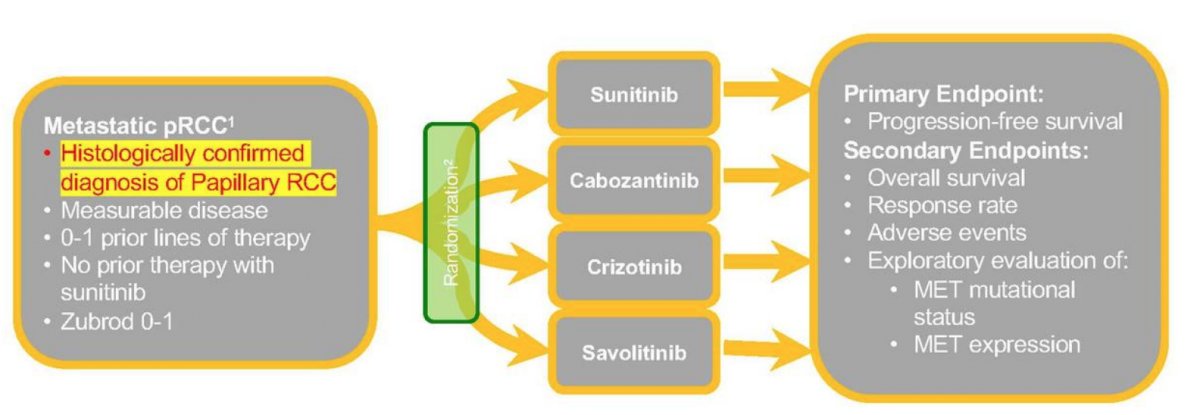 Systemic Therapy for Non-Clear Cell-5.jpg
