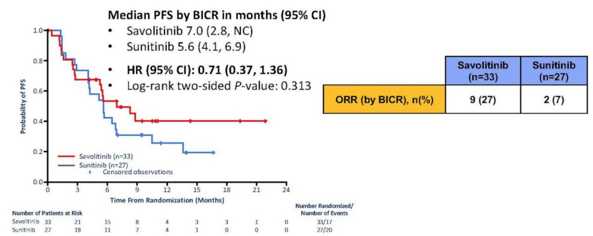 Systemic Therapy for Non-Clear Cell-7.jpg