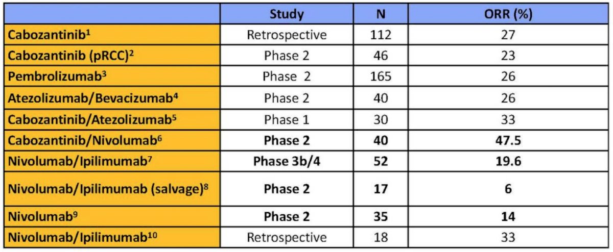 Systemic Therapy for Non-Clear Cell-9.jpg