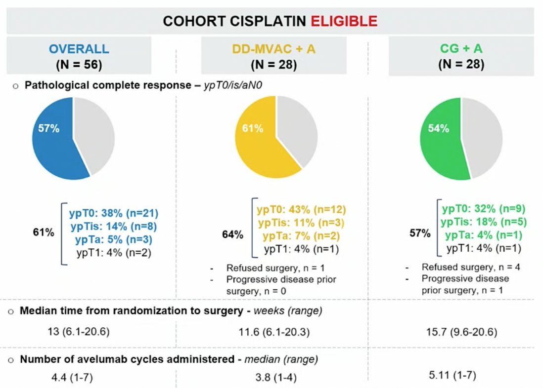 cisplatin eligible.jpg