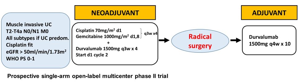 neoadjuvant to adjuvant flow.jpg