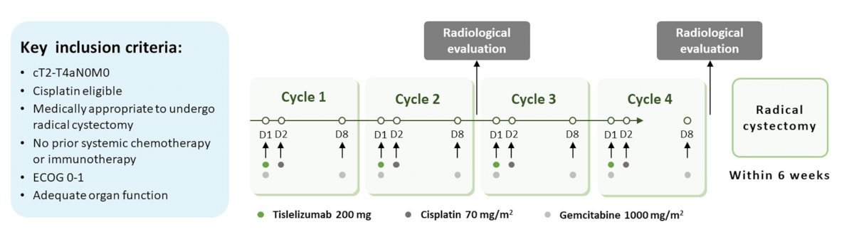 cycle table.jpg