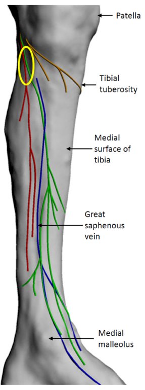 image-0.jpg