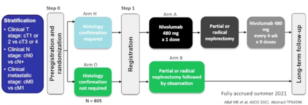 Systemic Therapy-4.jpg