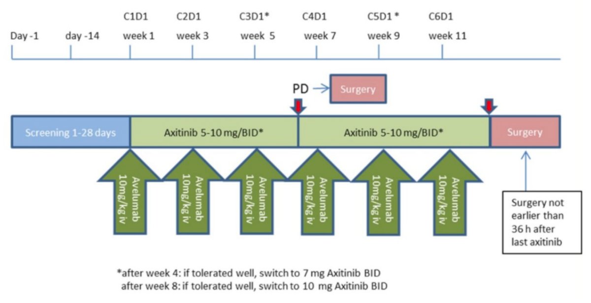 Systemic Therapy-5.jpg