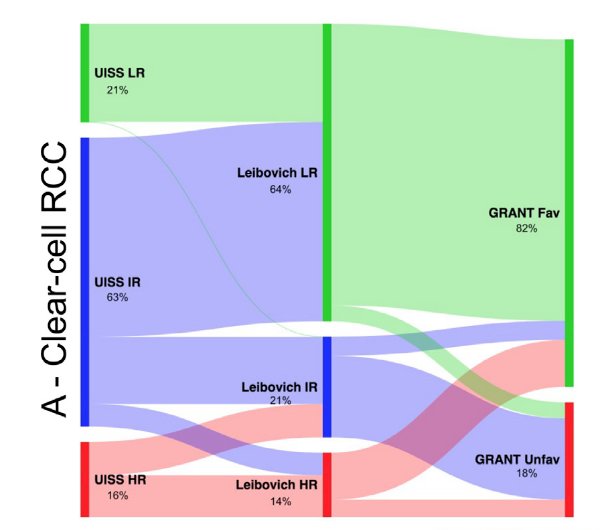 TMN classification-1.jpg