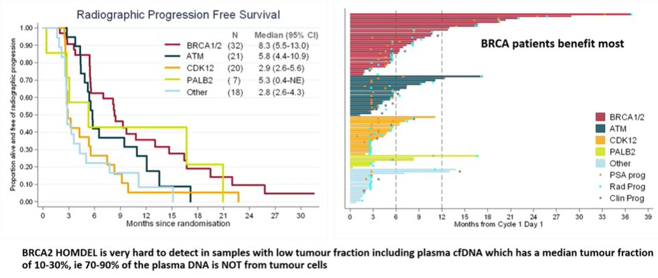BRCA mutation-1.jpg