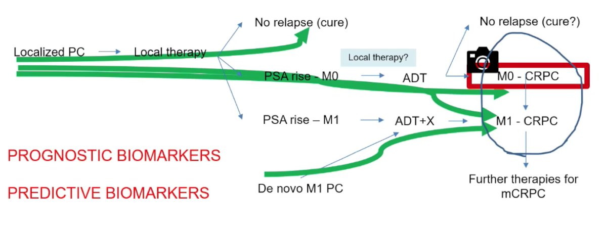 nmCRPC-0.jpg