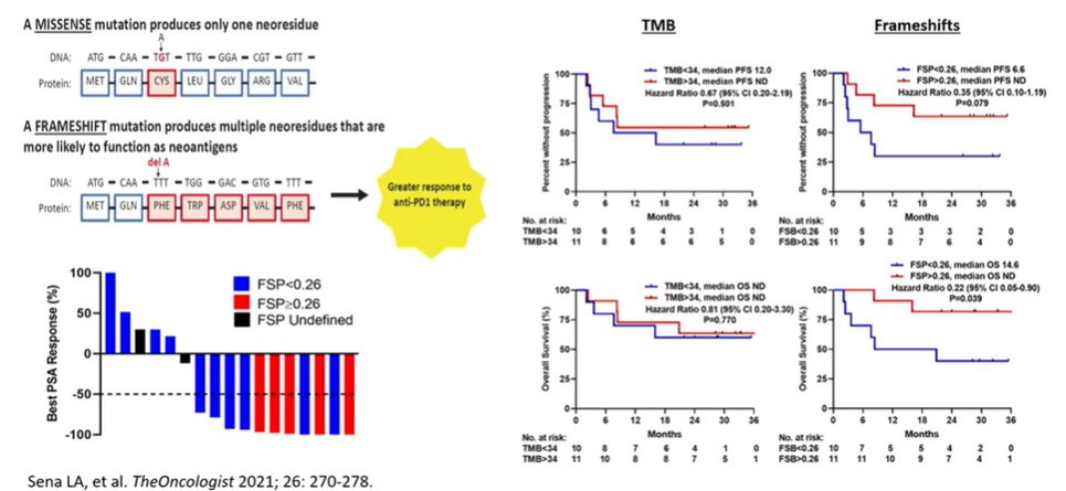 Anti-CTLA4 therapies-3.jpg