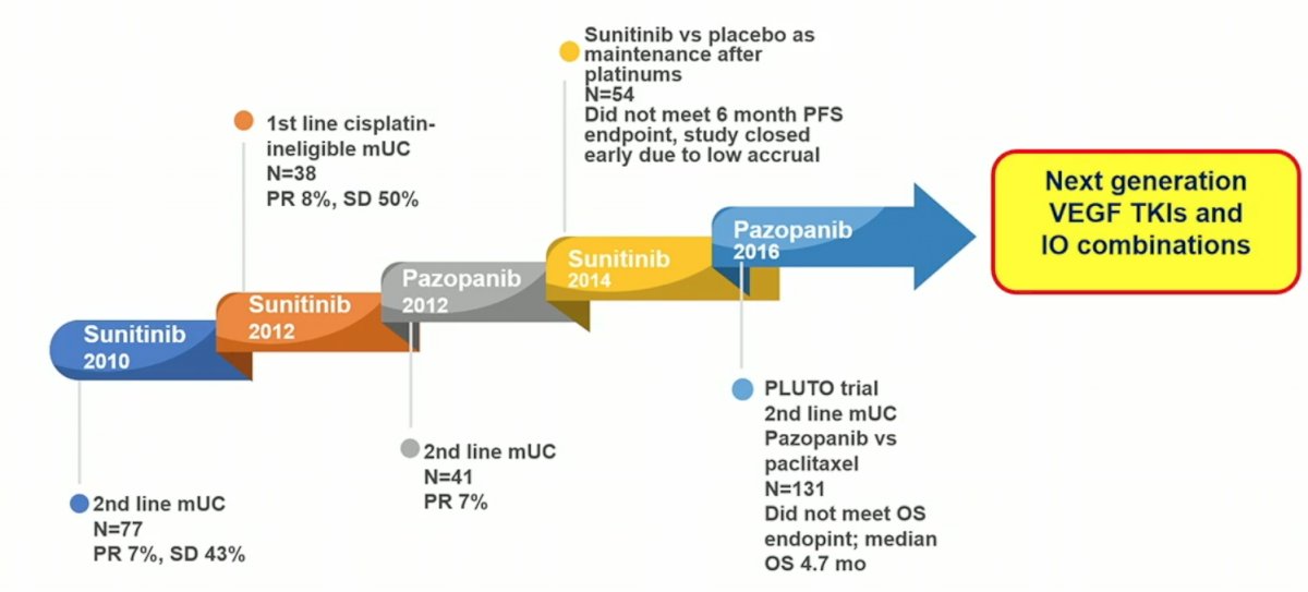 ASCO_VEGF-TKIs-2.jpg